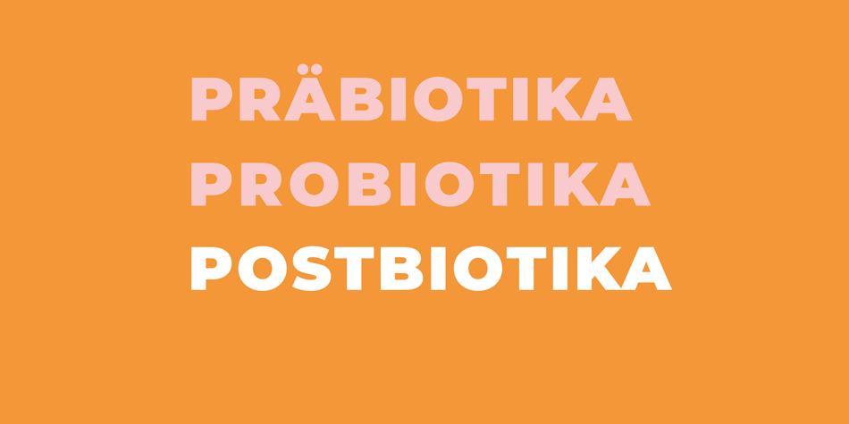 Erste Gedanken zu den Postbiotika