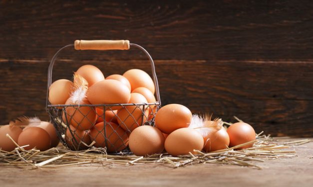 Sind Eier ein Problem für die Gesundheit?