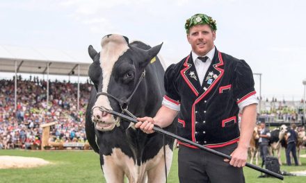 Matthias Glarner, Schwingerkönig