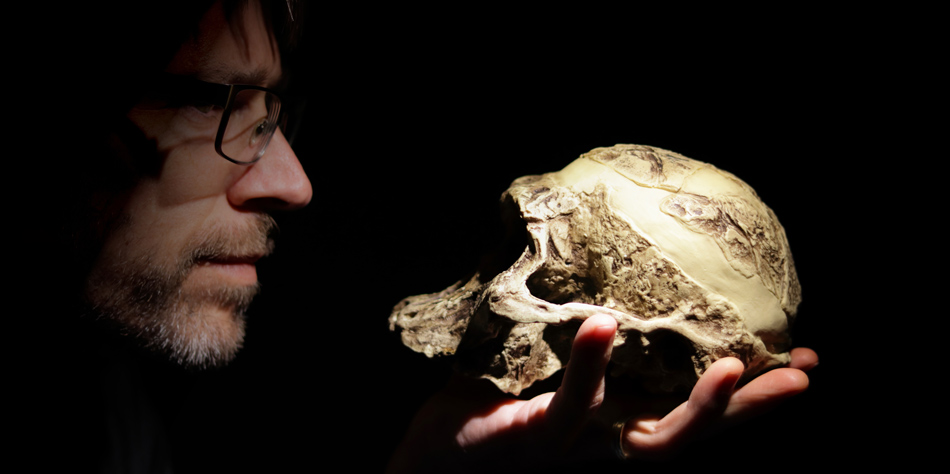 Das Körpergewicht in der Evolution
