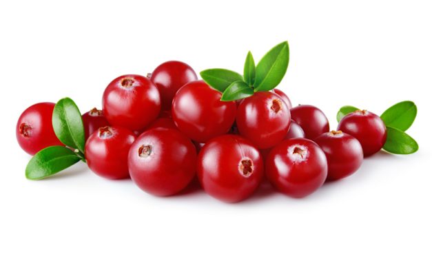 Harnwegsinfekt: Präventive Preiselbeeren