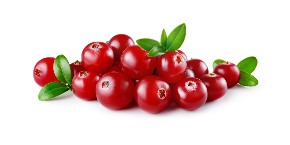 Harnwegsinfekt: Präventive Preiselbeeren