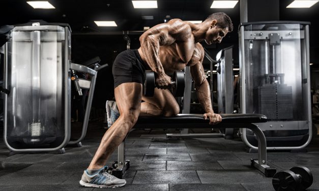 Baut Krafttraining auch Muskeln ab?