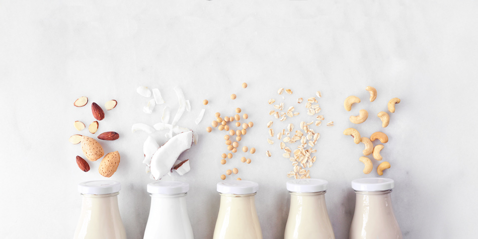 Pflanzen statt Milch = Schlechtere Knochen?