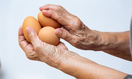 Eier und kognitive Fähigkeiten