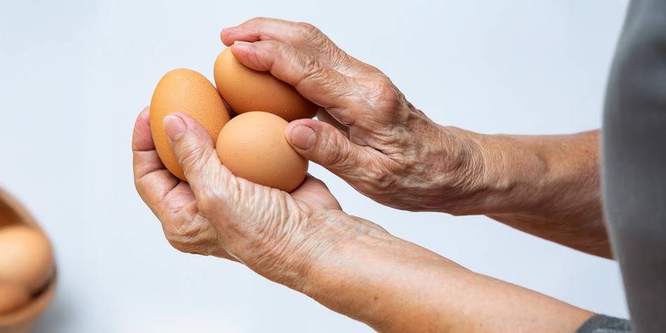 Eier und kognitive Fähigkeiten